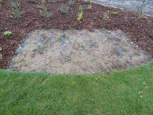 Rickyard 'Seat' 1 Rickyard 'Seat' 1